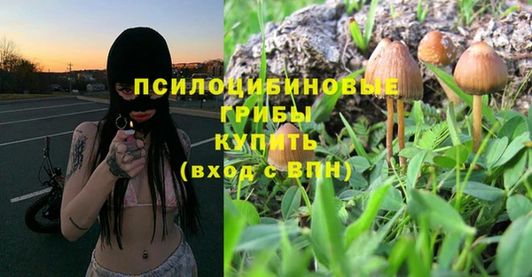 дурь Аркадак