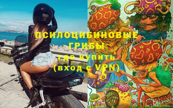 a pvp Армянск