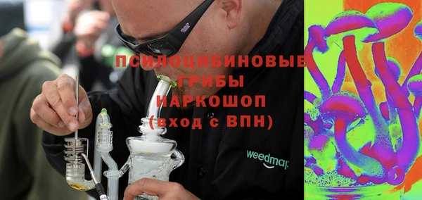apvp Арсеньев